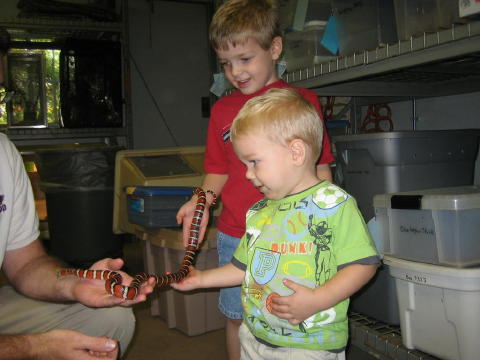 Conner &  Brayden hold snake