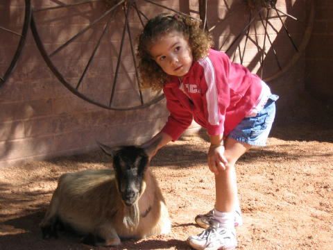 Kira pets a goat